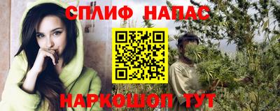 мдпв Гусев