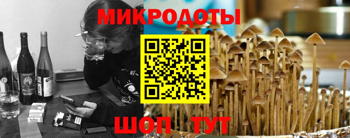 Псилоцибиновые грибы мухоморы Арзамас