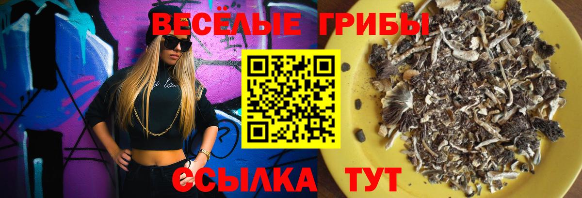 Арзамас  Псилоцибиновые грибы прущие грибы  Вход с VPN  Псилоцибиновые грибы GOLDEN TEACHER 
